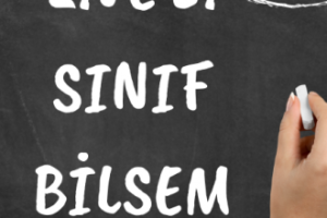 2 ve 3. Sınıflar Bilsem Hazırlık Testi -1- 2 ve 3. Sınıflar Bilsem Hazırlık Testi -1-
