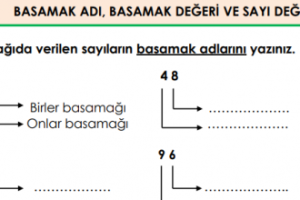 2.Sınıf Matematik Basamak Adı Basamak Değeri Sayı Değeri 1 2.Sınıf Matematik Basamak Adı Basamak Değeri Sayı Değeri 1
