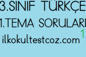 3.Sınıf Türkçe 1.Tema Test 1 3.Sınıf Türkçe 1.Tema Test 1