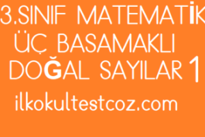 3.Sınıf Matematik Üç Basamaklı Doğal Sayılar 1 3.Sınıf Matematik Üç Basamaklı Doğal Sayılar 1