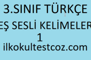 3.Sınıf Türkçe Eş Sesli Kelimeler 1 3.Sınıf Türkçe Eş Sesli Kelimeler 1
