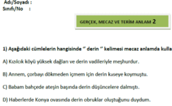 4.Sınıf Türkçe Gerçek Mecaz ve Terim Anlam 2 4.Sınıf Türkçe Gerçek Mecaz ve Terim Anlam 2
